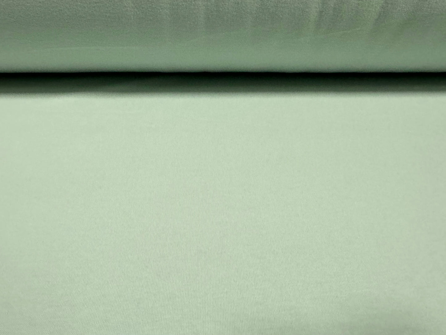 Cotton spandex stretch single jersey fabric, per metre - plain - pale mint green