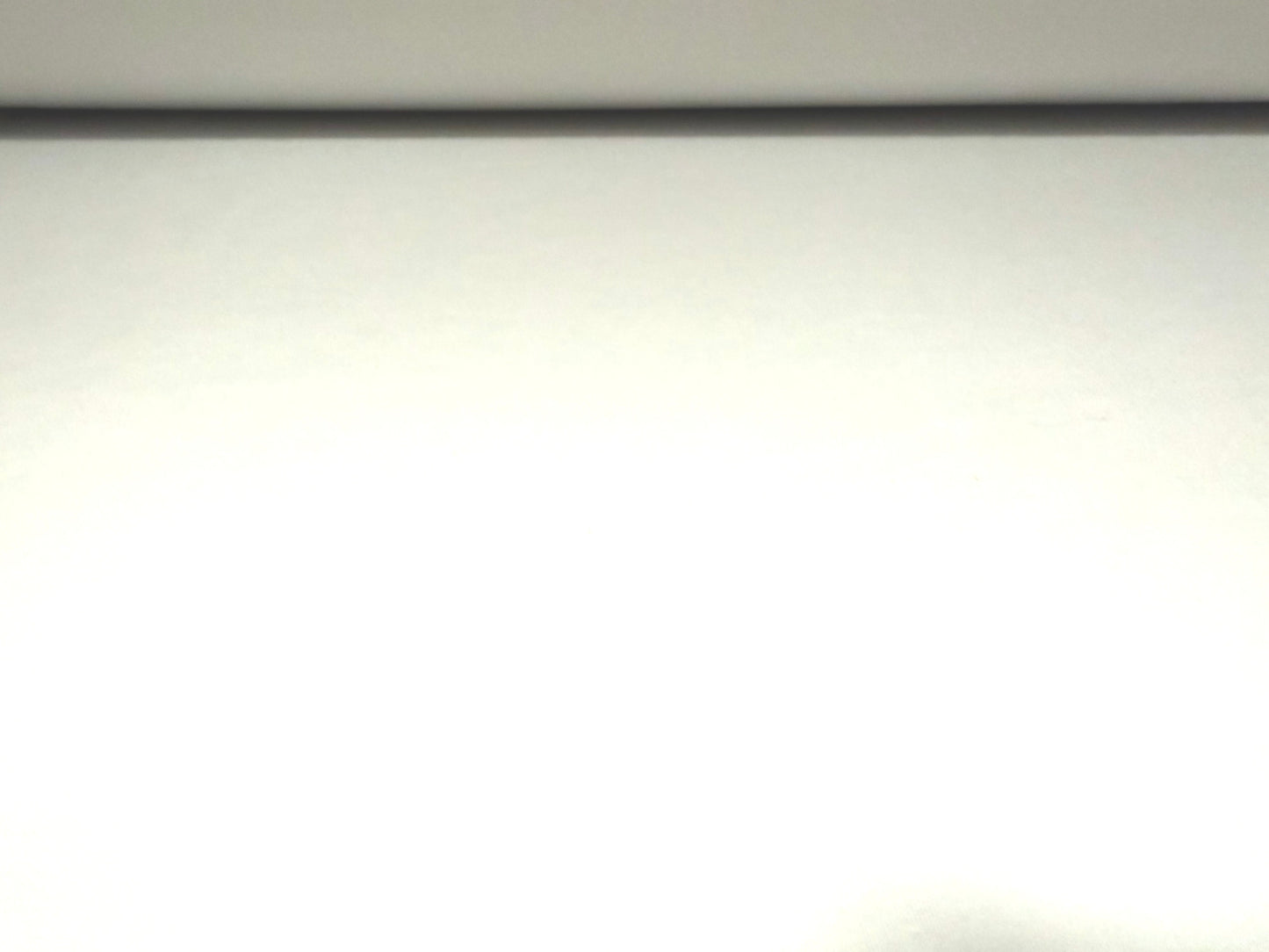 Double Jersey stretch spandex fabric, per metre - plain - white