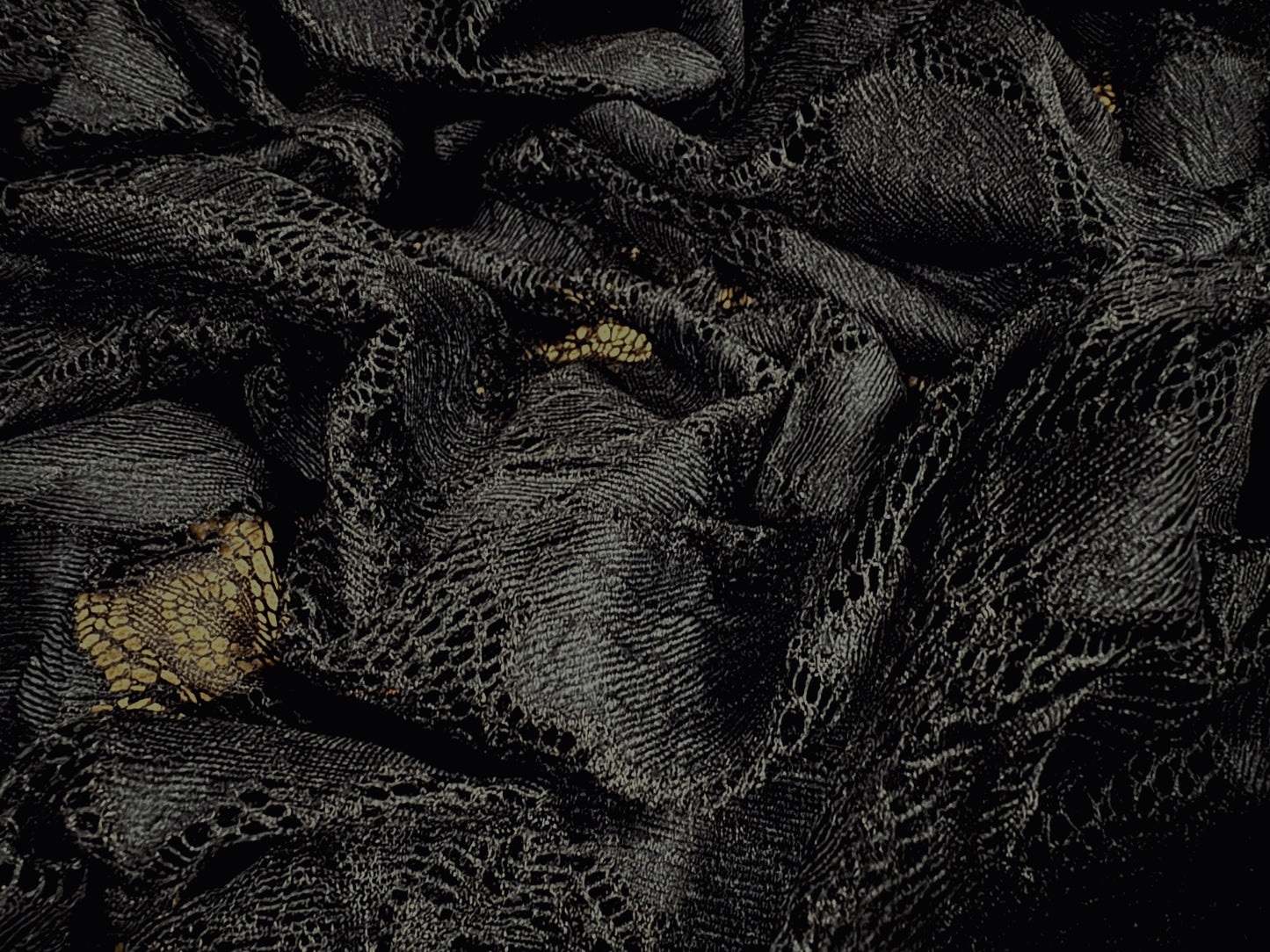 Stretch spandex lace dress fabric, per metre - abstract - black