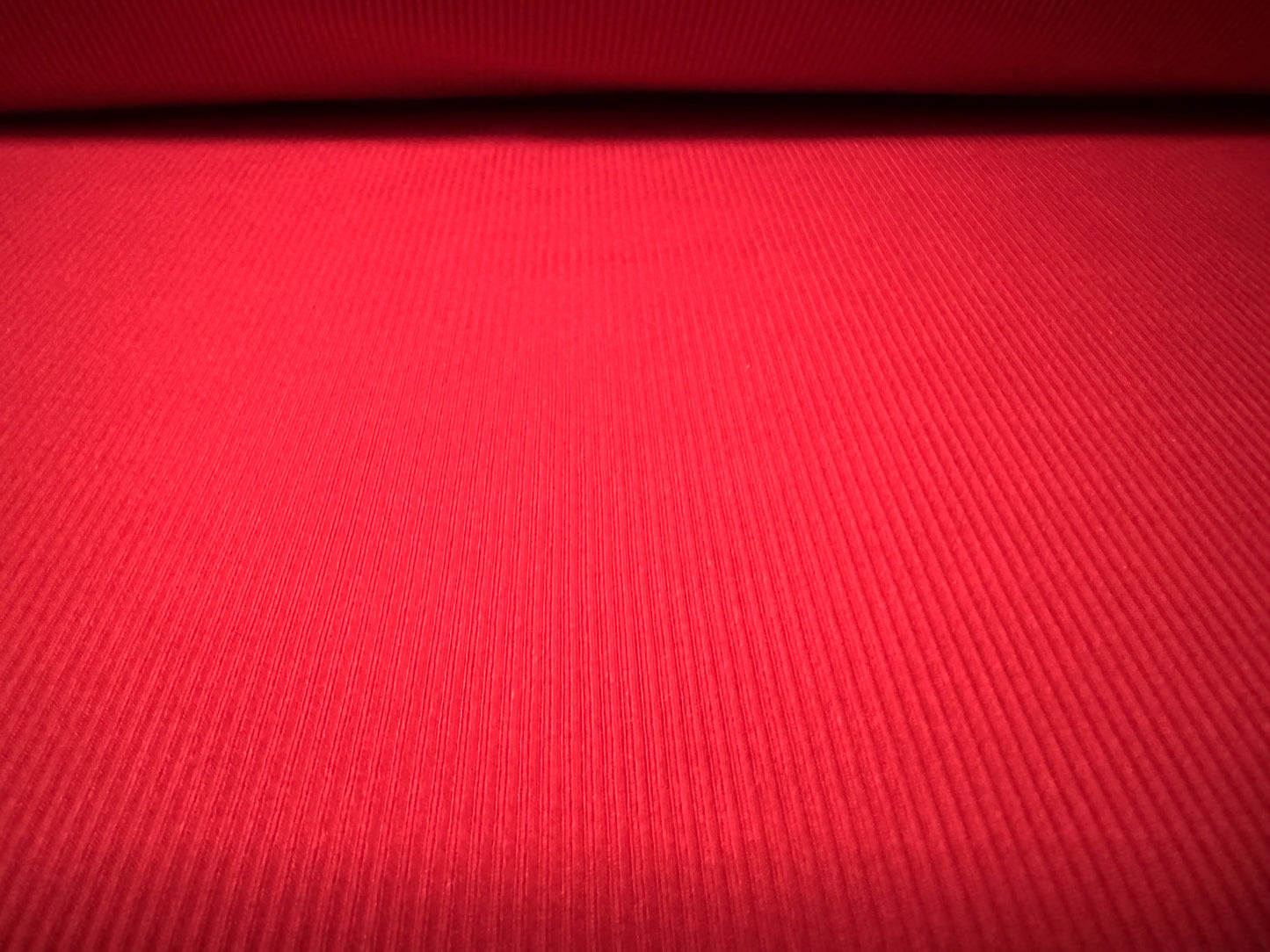 Stretch spandex finely ribbed jersey fabric, per metre - plain - bright red