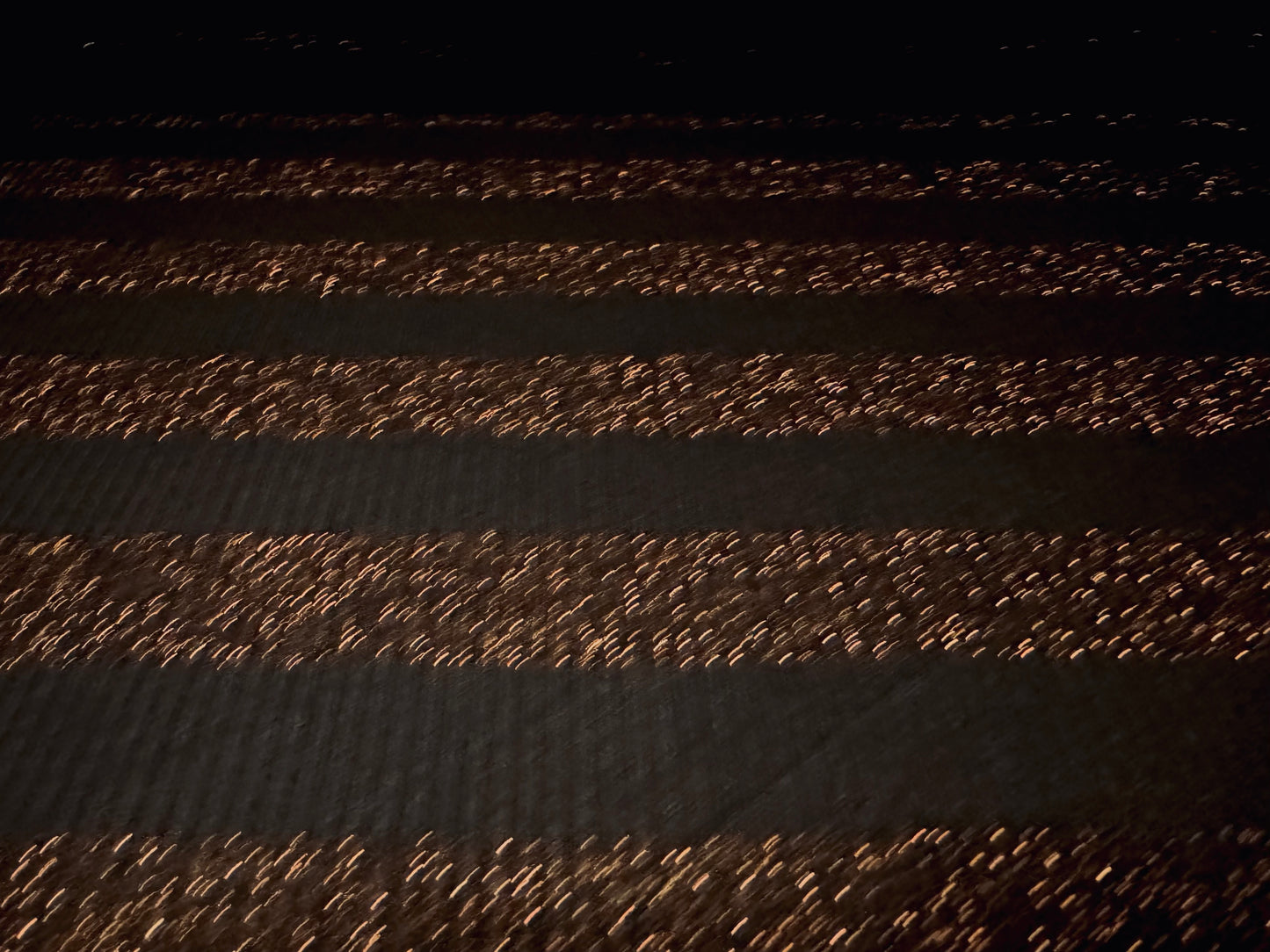 Metallic ribbed jersey knit fashion fabric, per metre -  black with copper lurex stripe