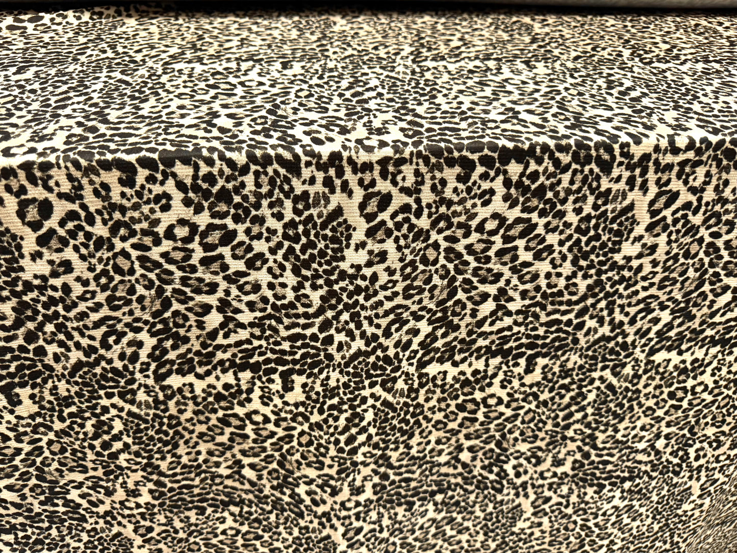 Strawcloth stretch spandex double jersey fabric, per metre - cheetah print - cream