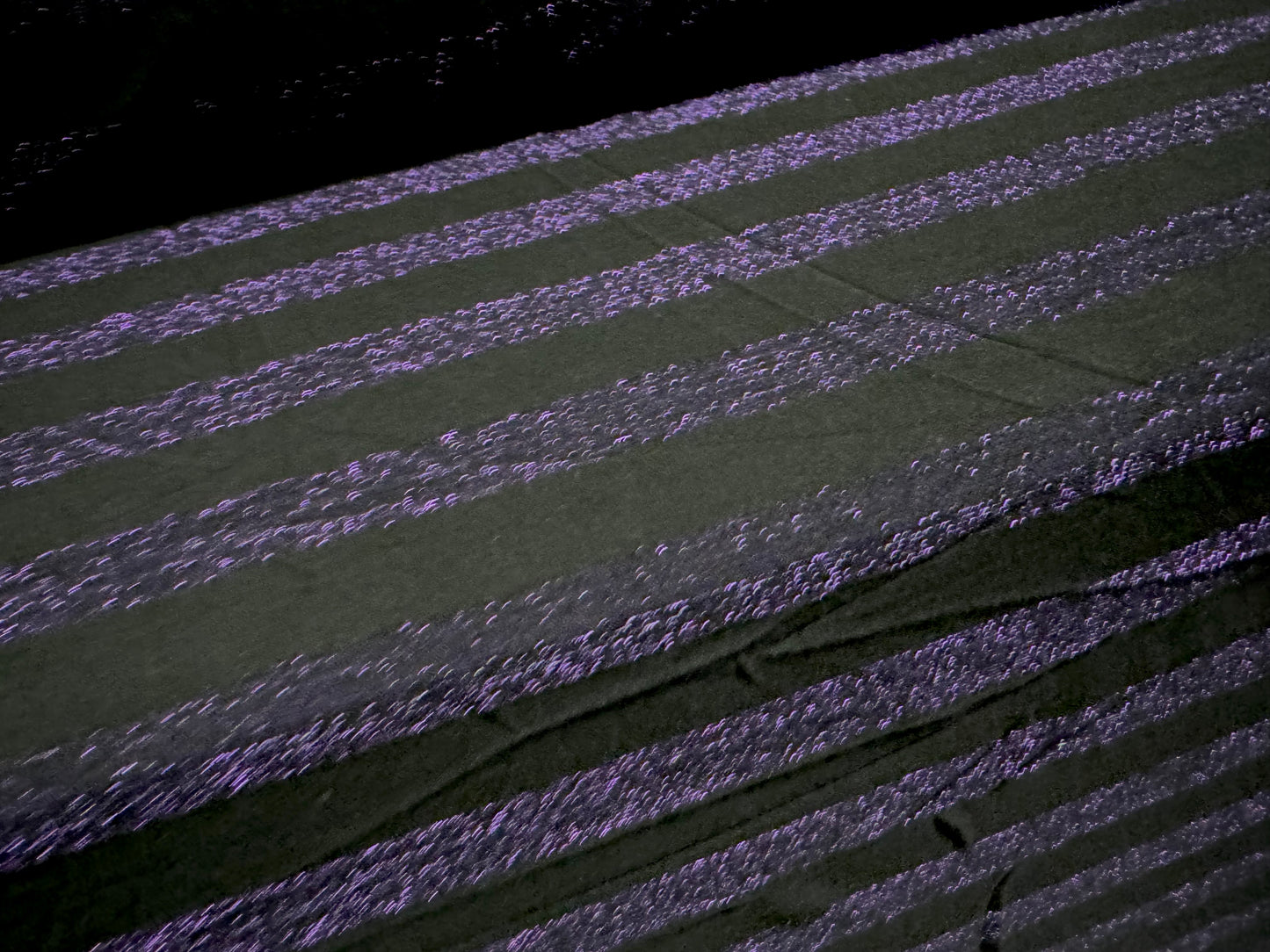Metallic stretch single jersey fashion fabric, per metre - stripe - black with purple lurex