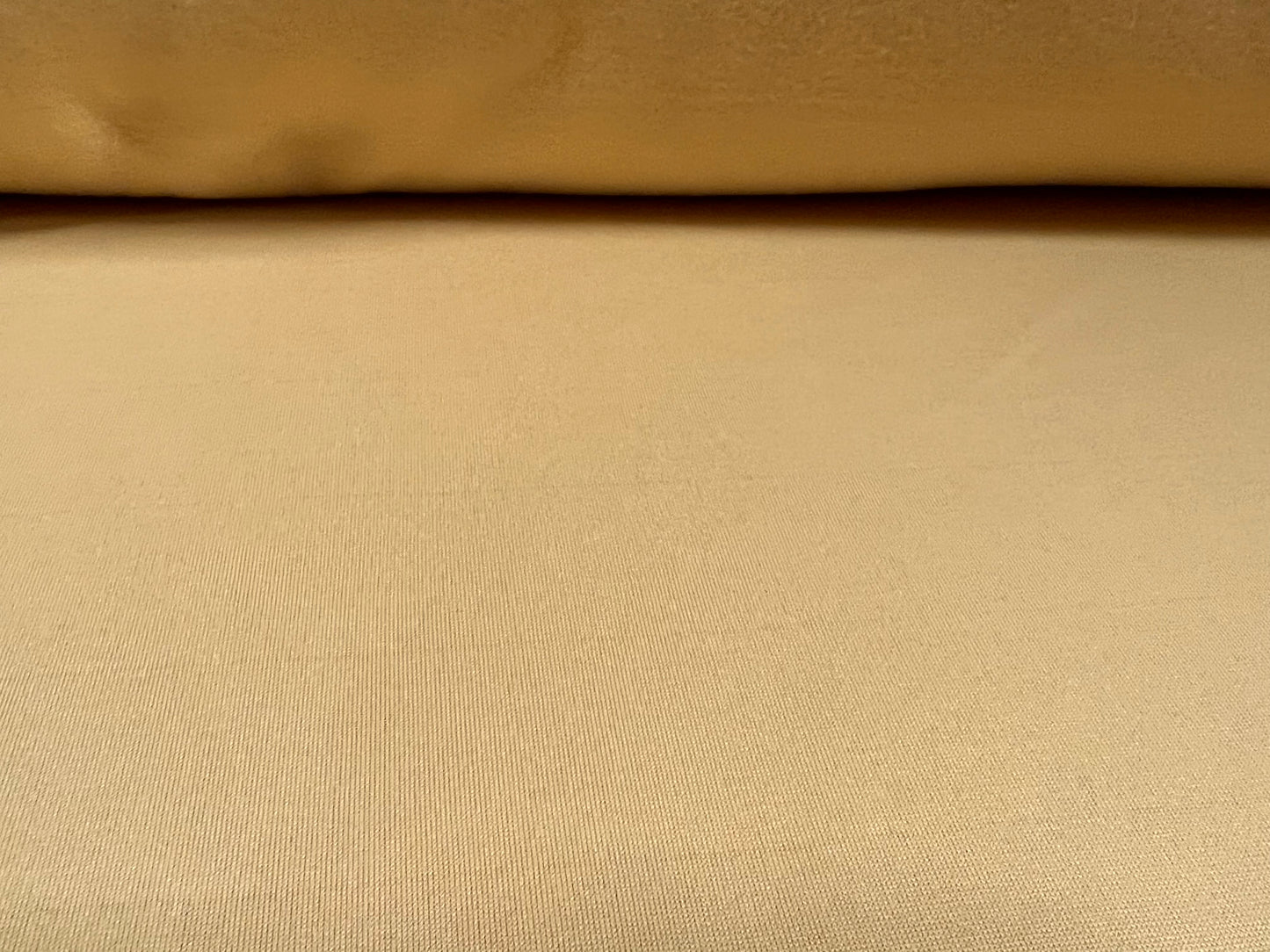 Sweatshirt fleece heavyweight jersey fabric, per metre - Plain - beige