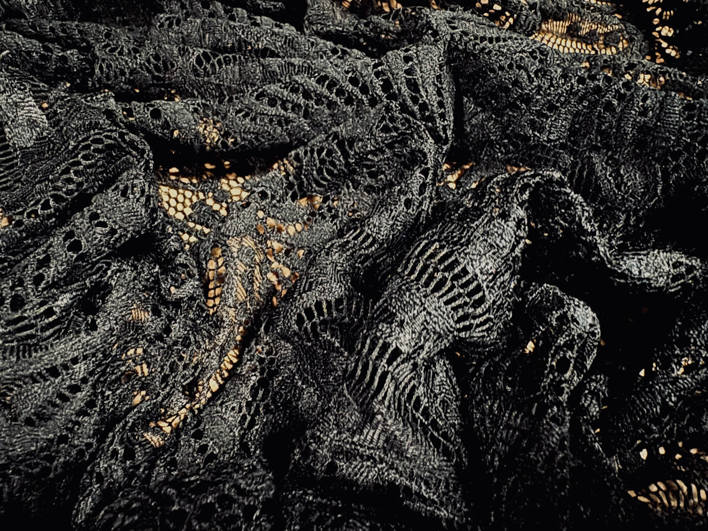 Stretch spandex lace dress fabric with scalloped selvedge, per metre - paisley - black