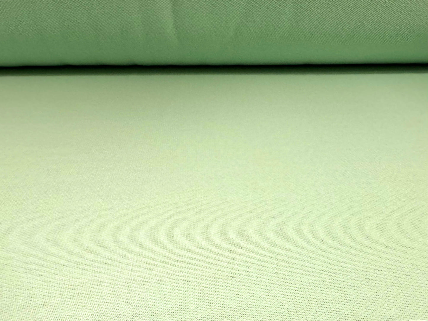 French Terry loopback sweatshirt fabric, per metre - plain - spearmint green