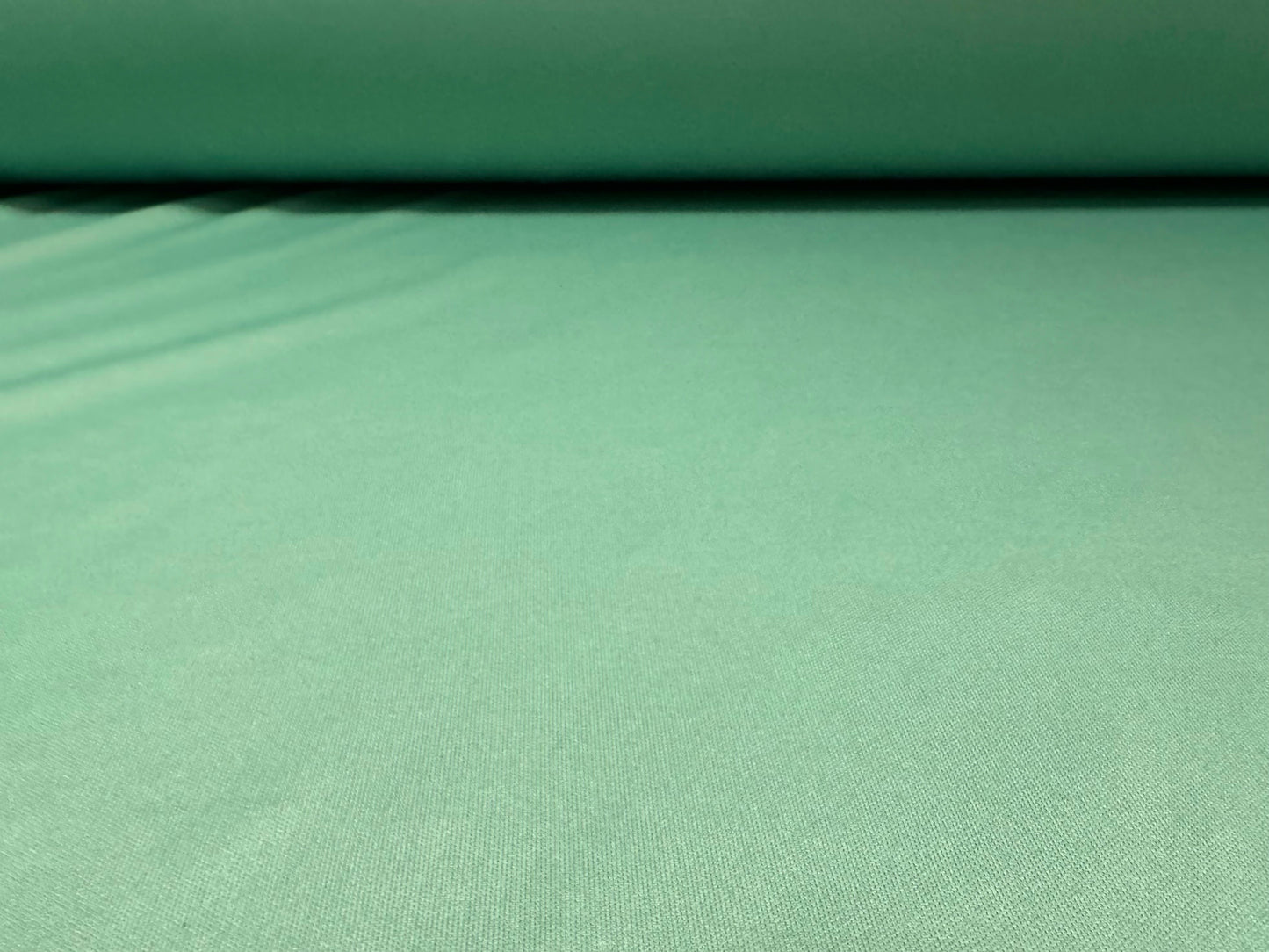 Single Jersey fashion fabric, per metre - plain - mint green