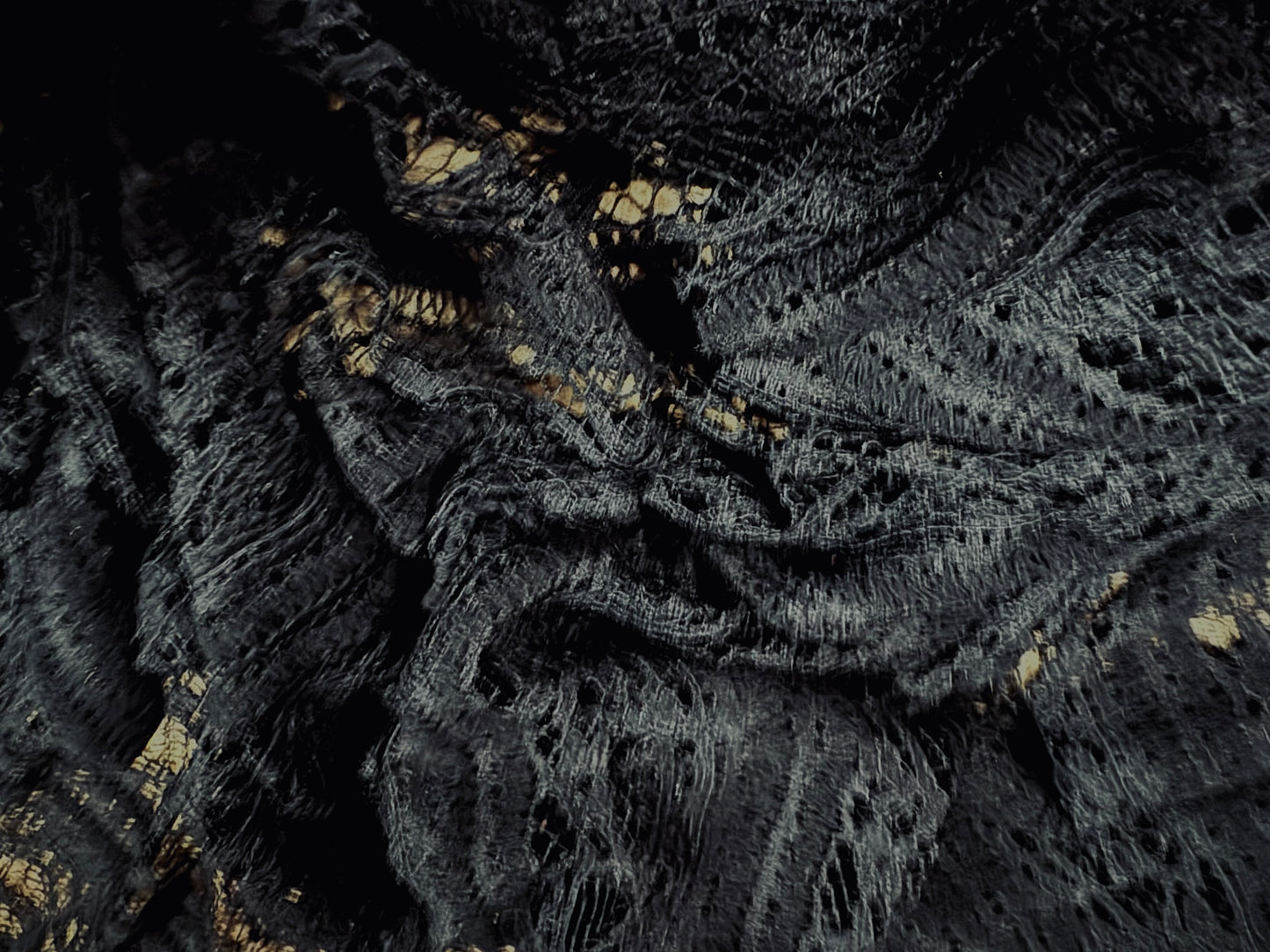 Stretch spandex lace fabric, per metre - abstract stripe - black