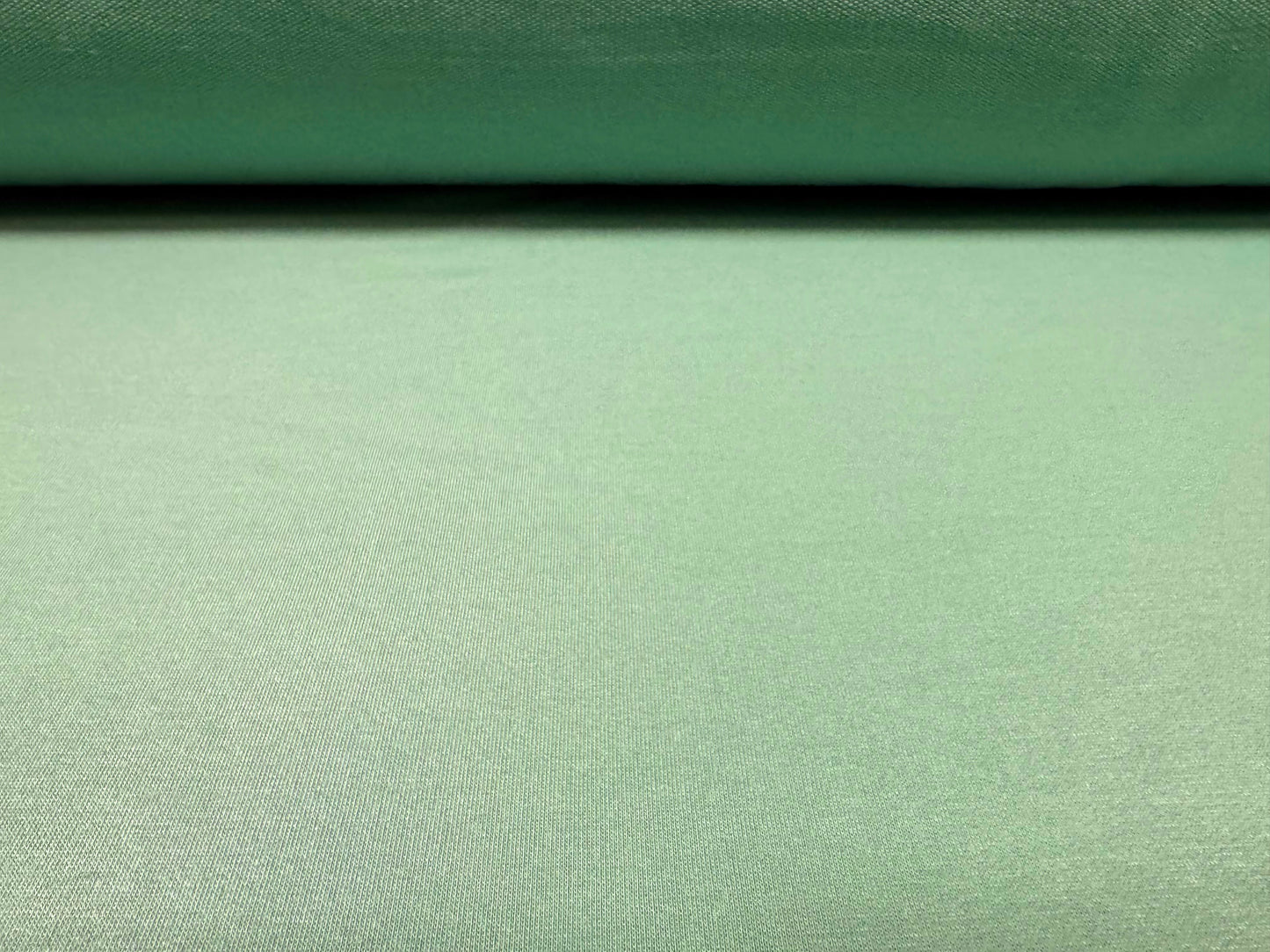 Soft handle French Terry loopback jersey fabric, per metre - Plain - mint green
