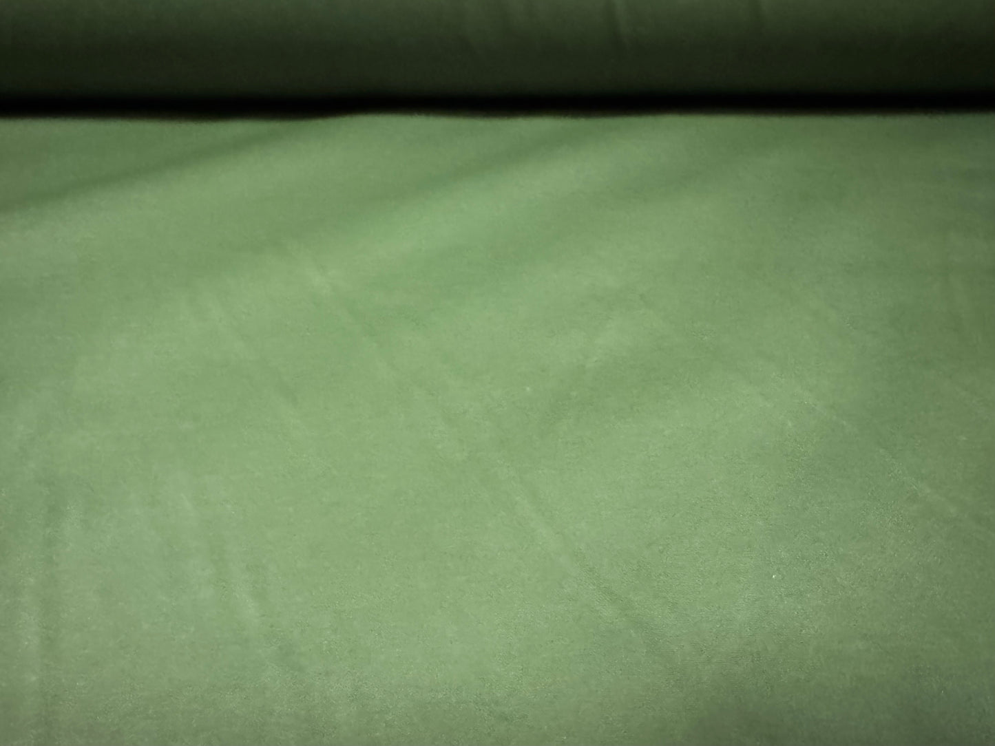 Coated nylon fabric, per metre - plain - Lincoln Green