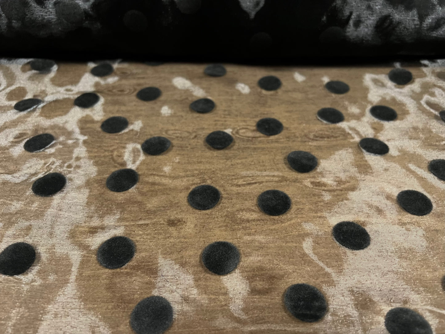 Crystal organza lightweight woven shimmer fabric, per metre - flocked polka dot - black on black