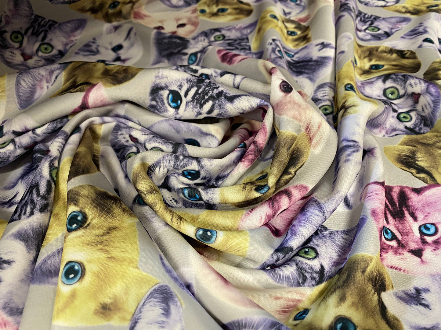Scuba spandex jersey fabric, per metre - pussy cats print