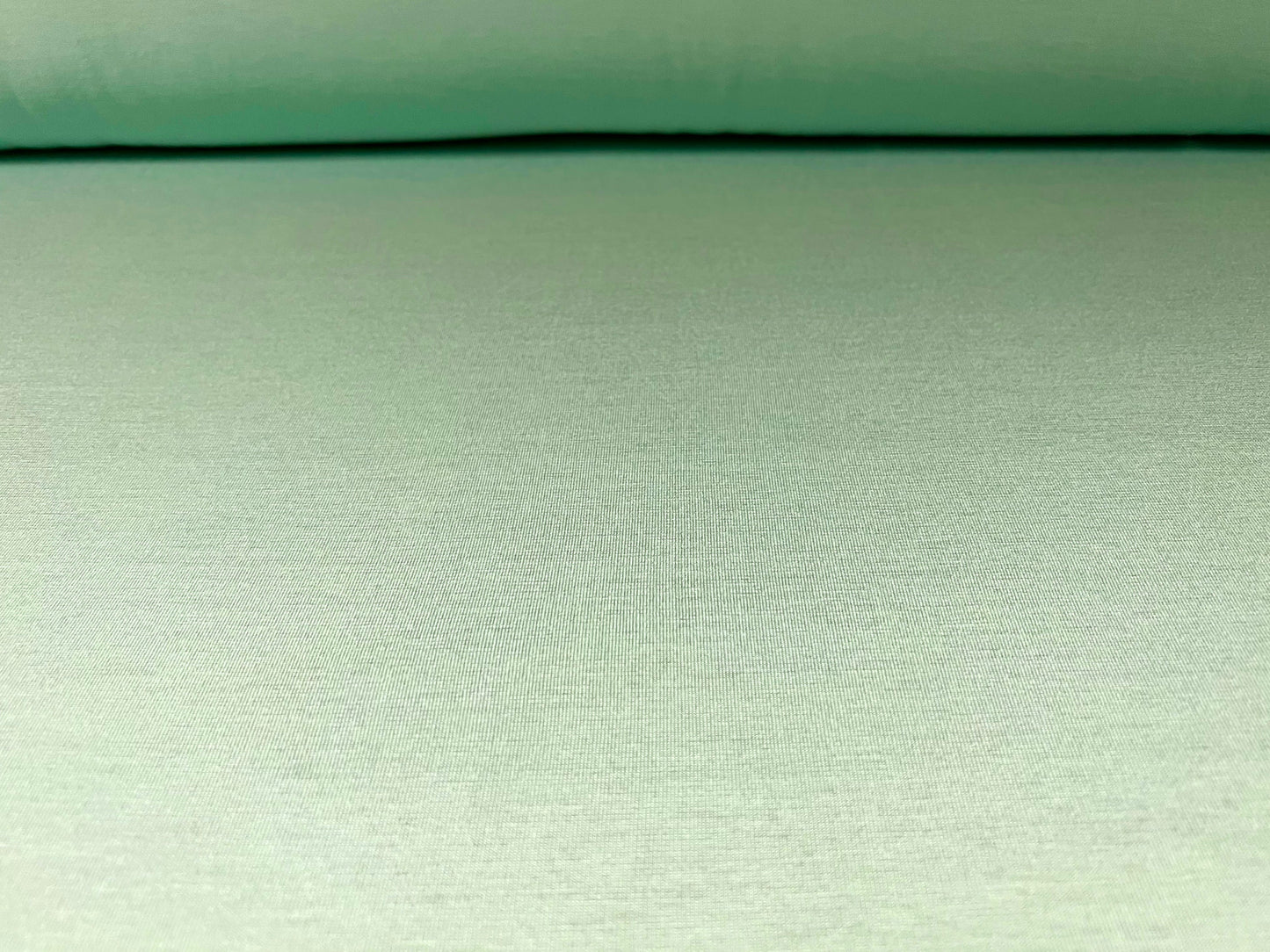 Viscose Spandex stretch single jersey fabric, per metre - plain - mint green