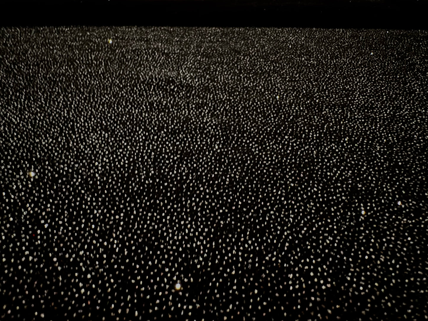 Couture Spandex velvet velour stretch fabric, per metre - starry night glitter print - black & silver