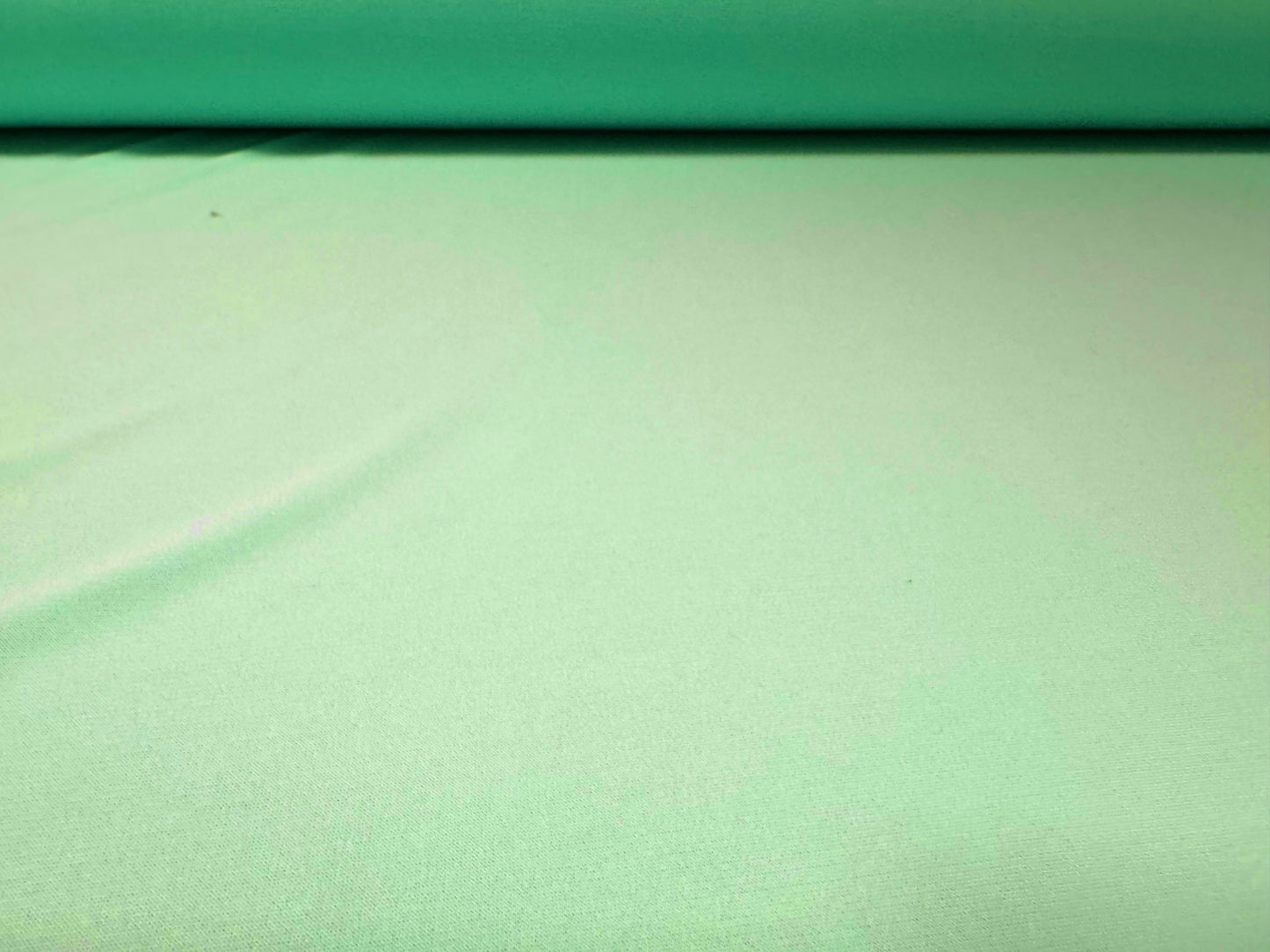 Stretch spandex ITY single jersey fabric, per metre - plain - spearmint