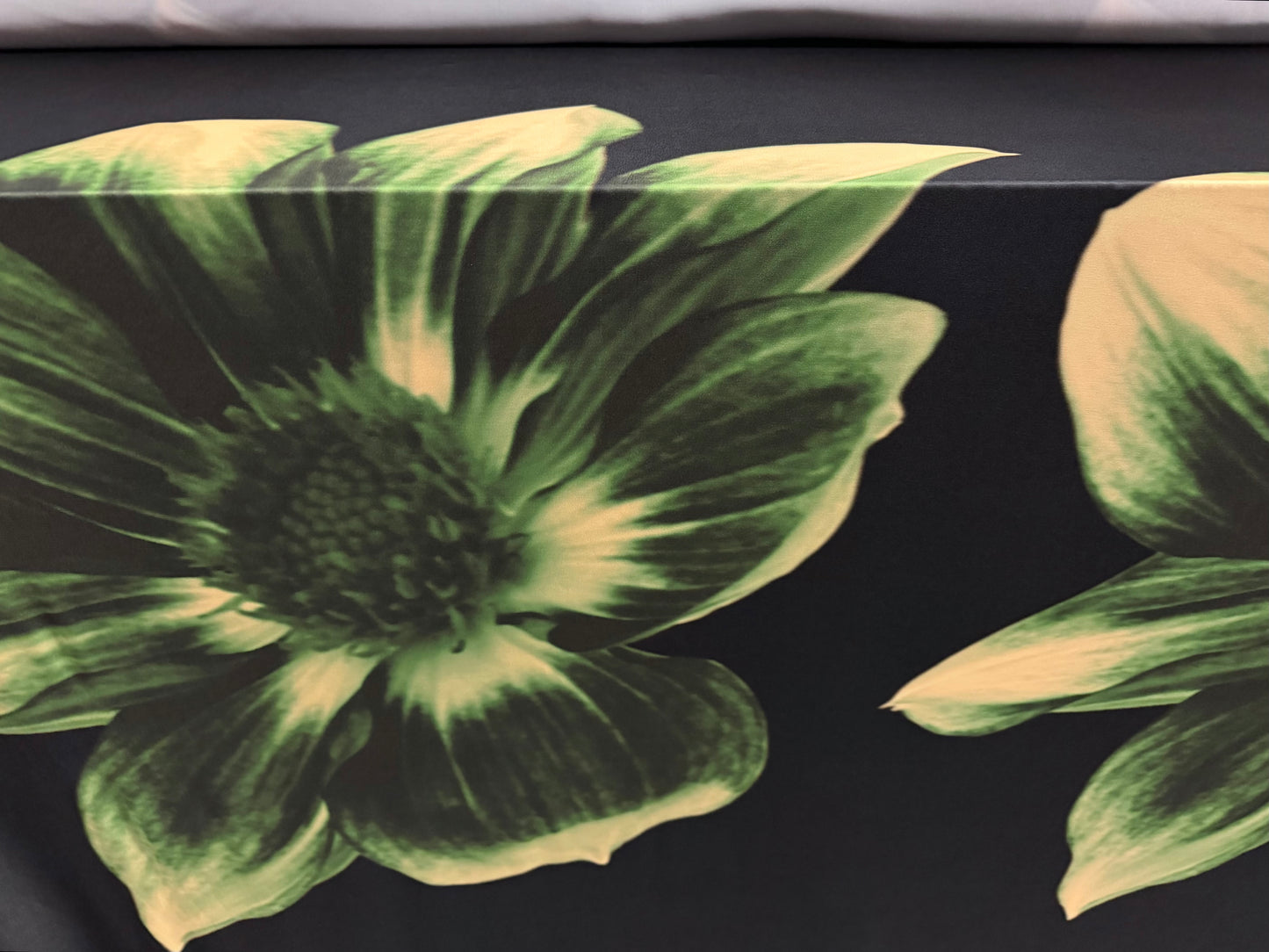 ITY stretch spandex single jersey fabric, per metre - giant sunflower print - black & green