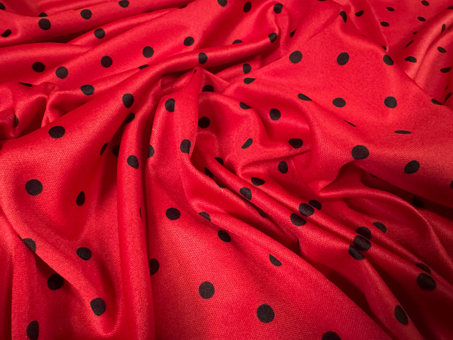 Single jersey fashion fabric, per metre - ladybug spot print - red & black