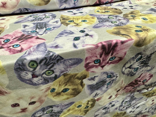 Kelly woven fashion fabric, per metre - pussy cats print- multicolour