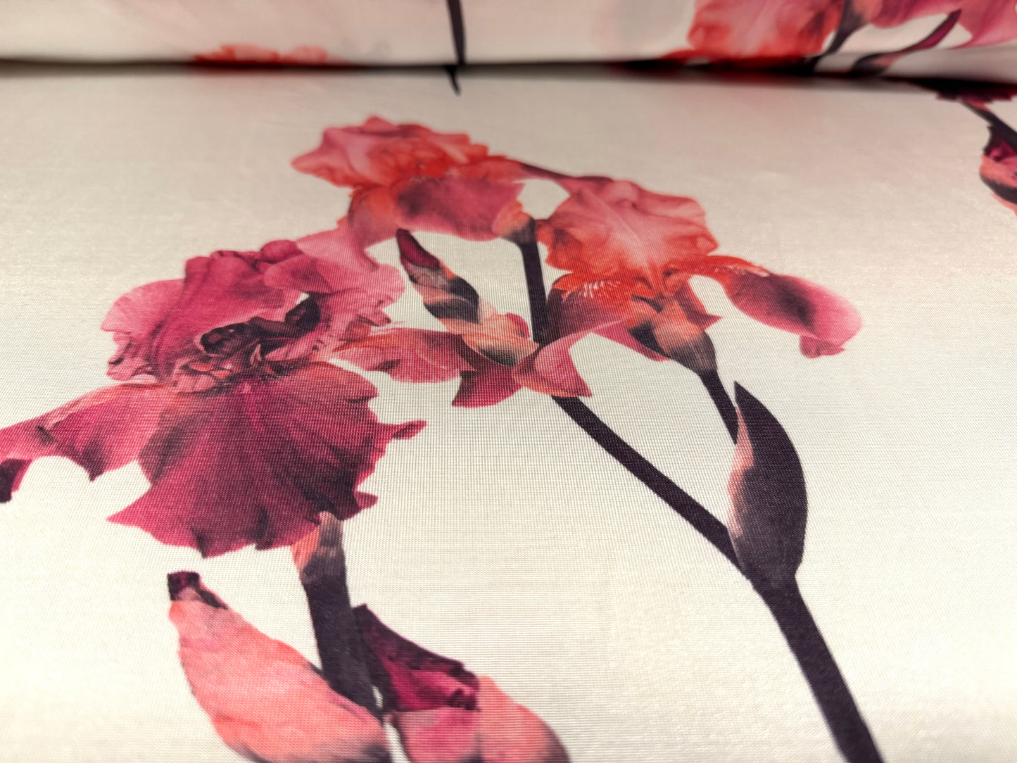 Stretch spandex single jersey fabric, per metre - iris flower print - cream & pink