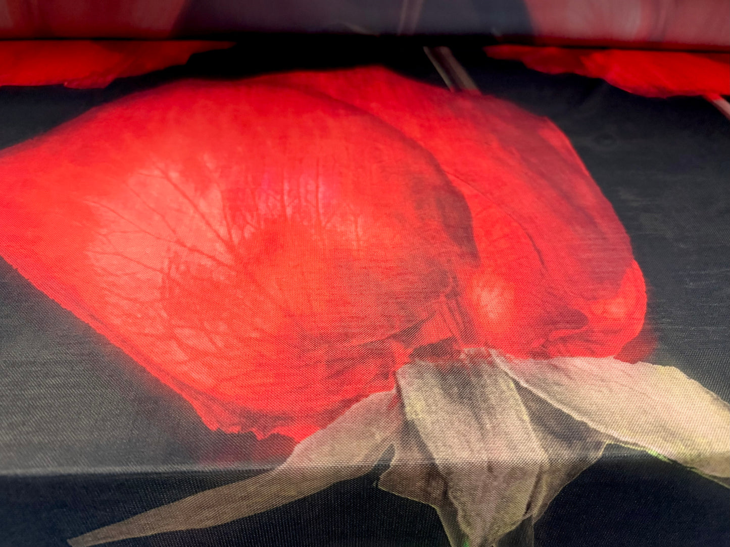 Power mesh net stretch spandex fabric, per metre - jumbo rosebud print - black & red