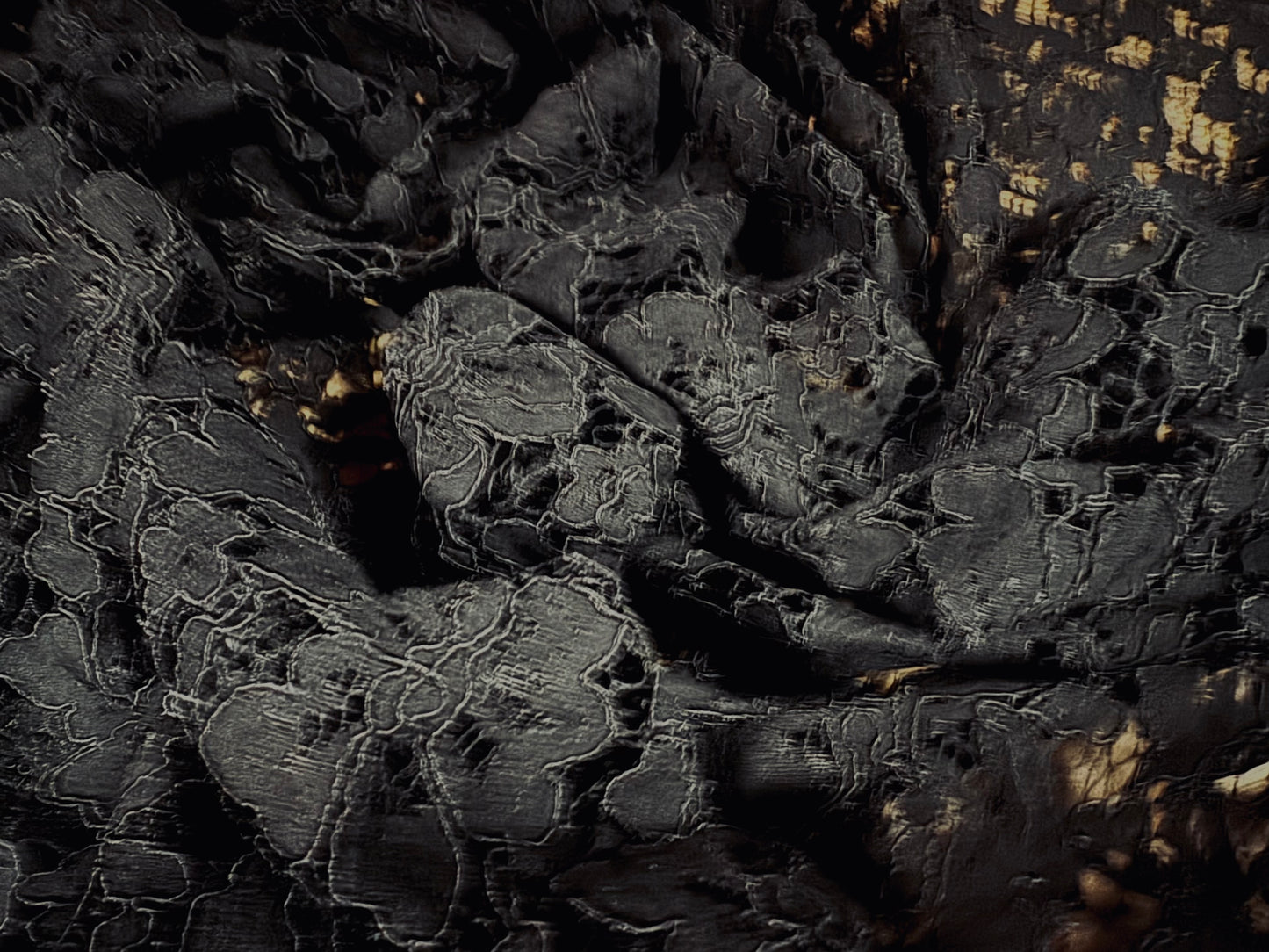 Heavy corded Alencon lace dress fabric with scalloped selvedge, per metre - floral - black