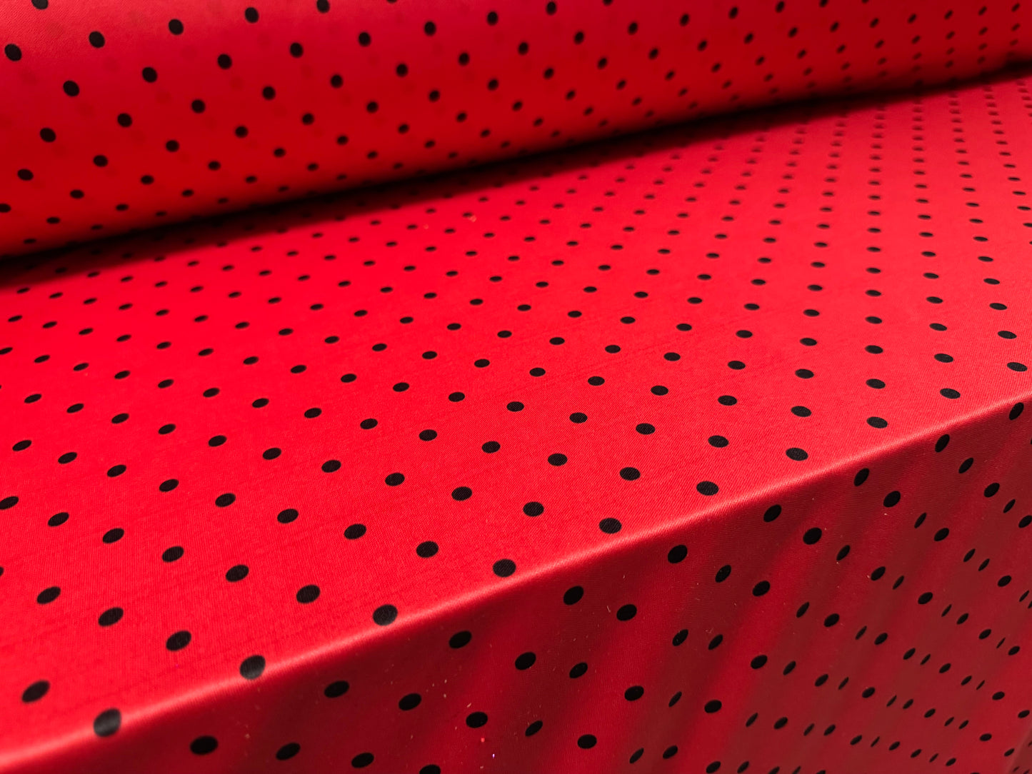 Single jersey fashion fabric, per metre - ladybug spot print - red & black