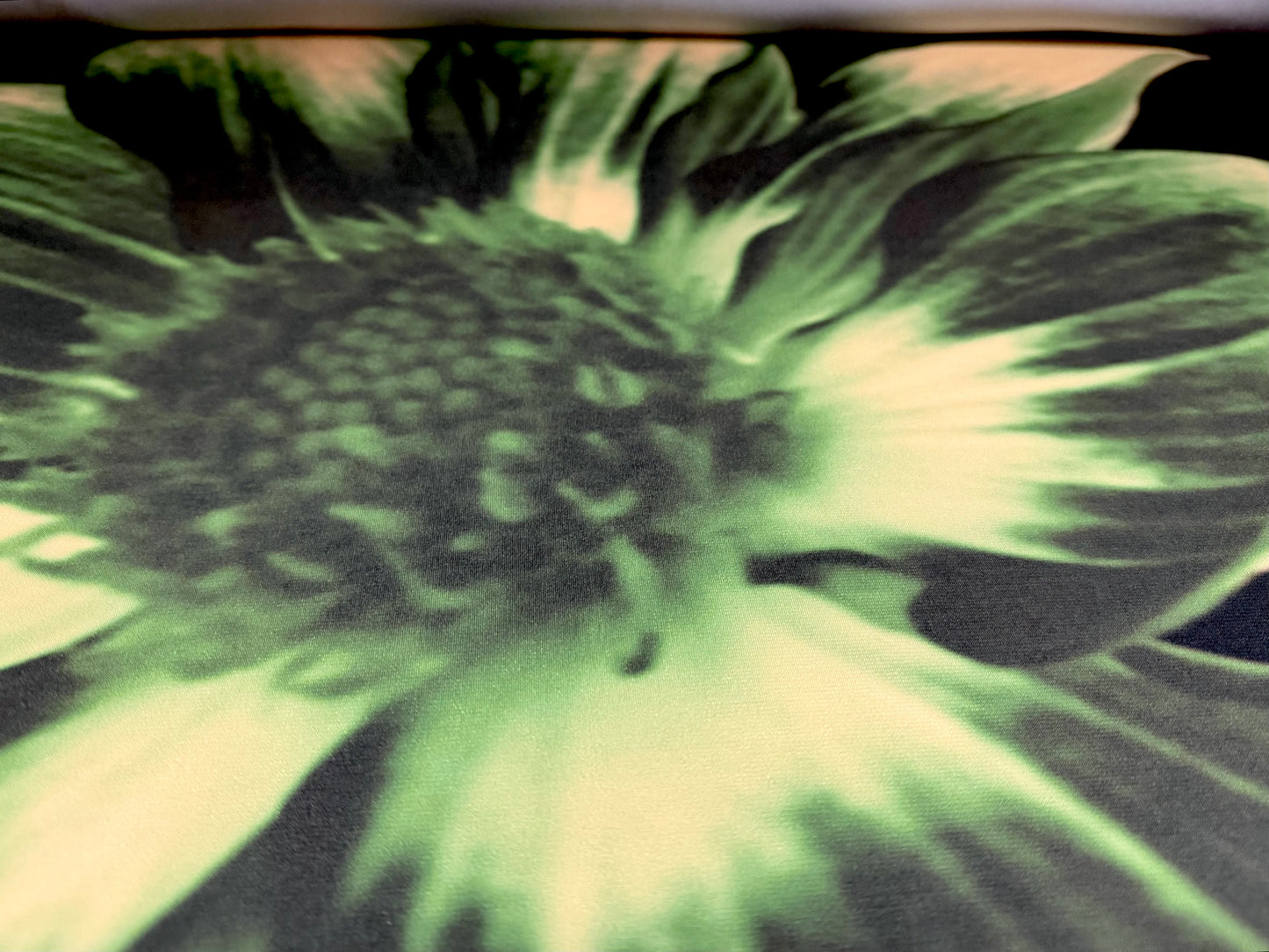 ITY stretch spandex single jersey fabric, per metre - giant sunflower print - black & green