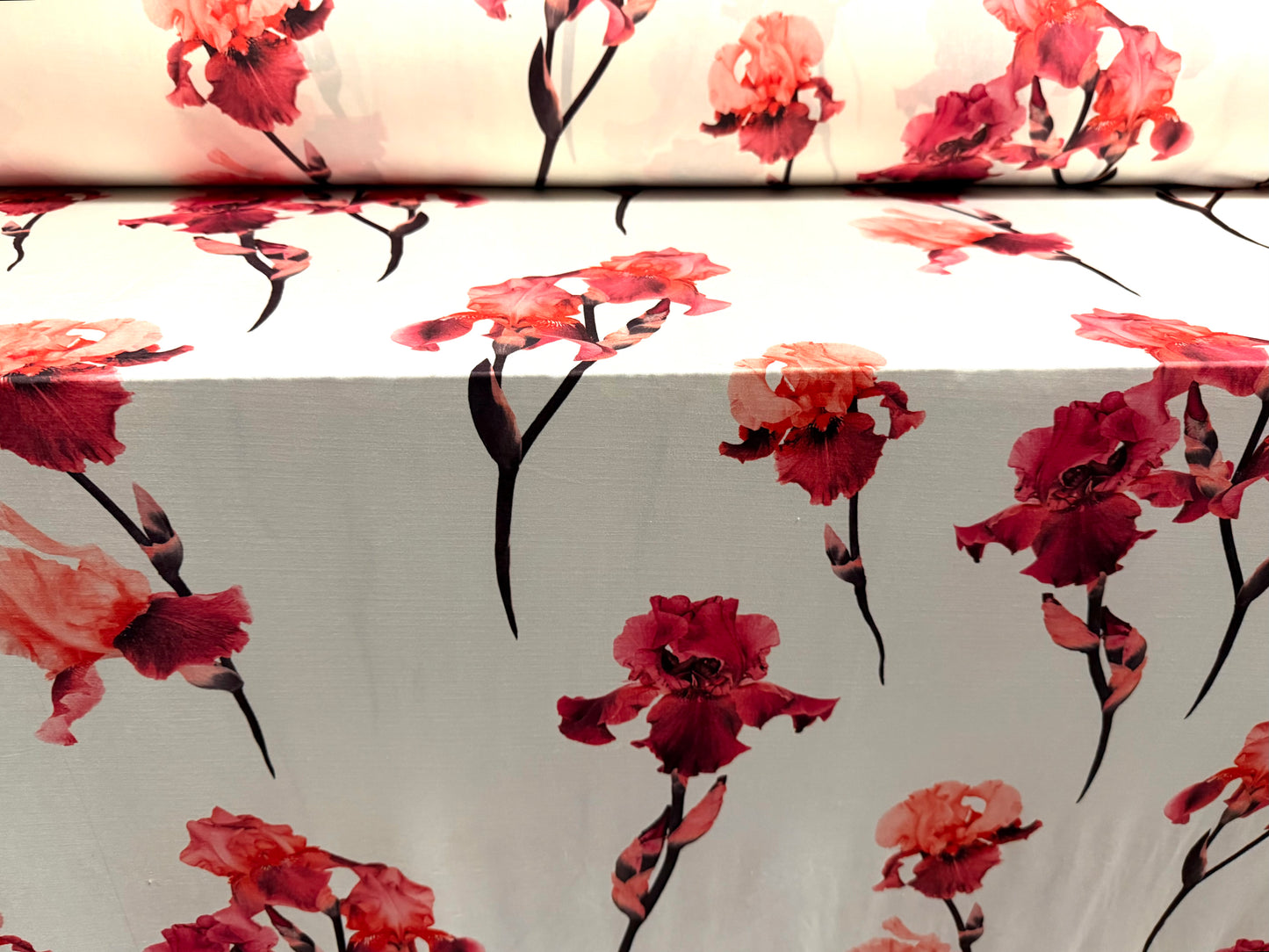 Soft touch stretch spandex single jersey fabric, per metre - Iris flower print - ivory & pink