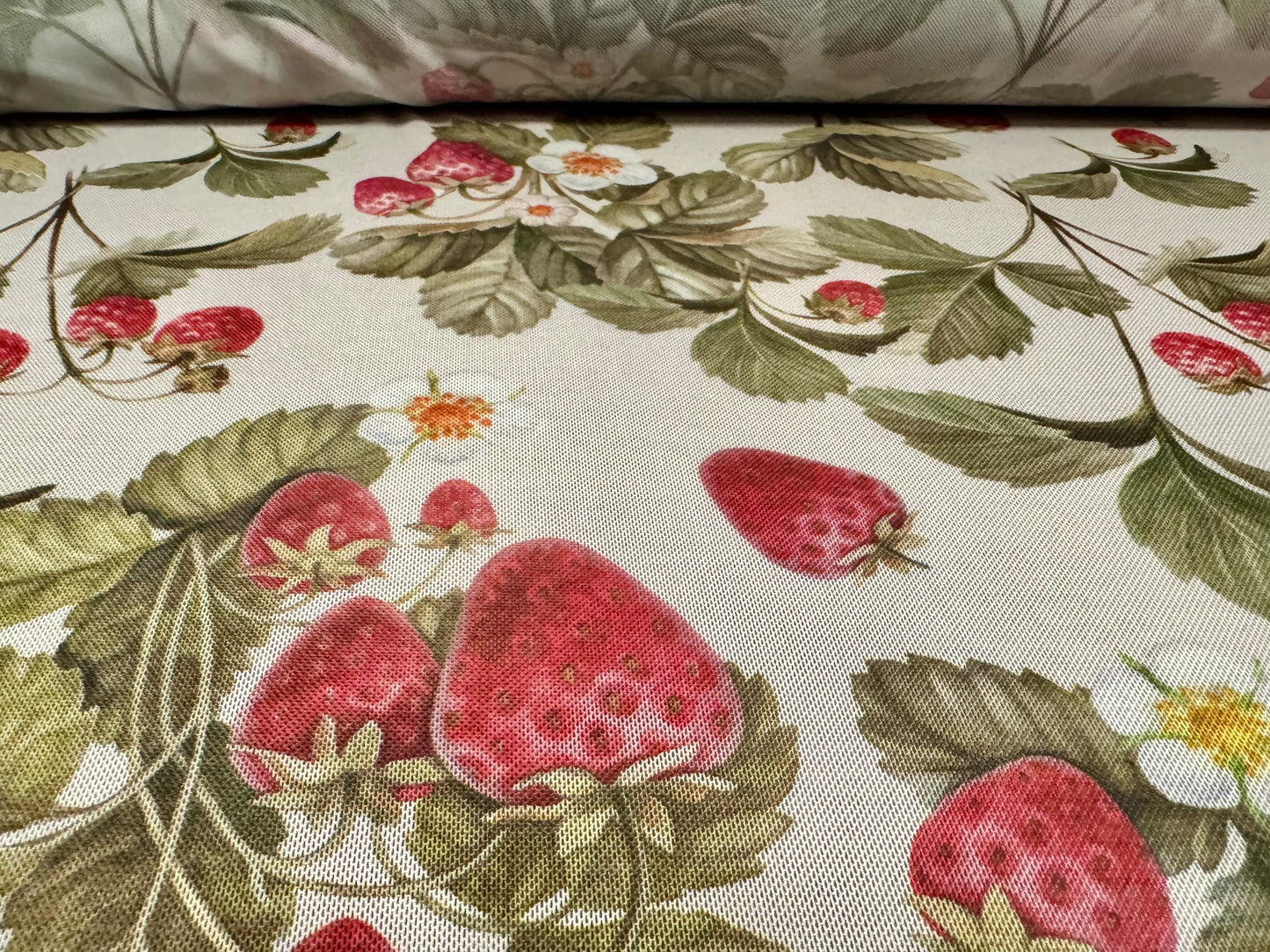 Power mesh net stretch spandex fabric, per metre - strawberries print - ecru green & red