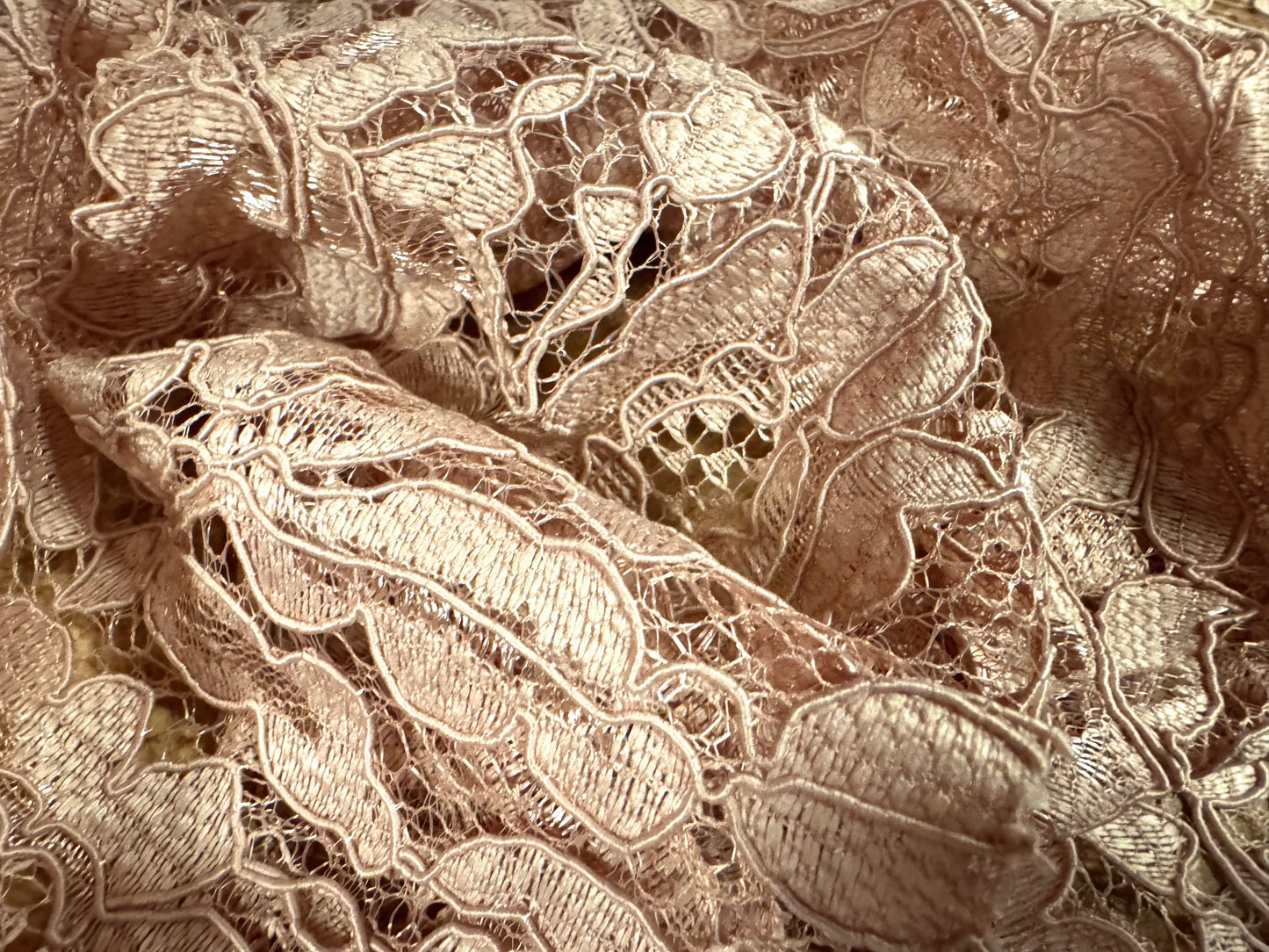 Heavy corded Alencon lace dress fabric with scalloped selvedge, per metre - floral - nude