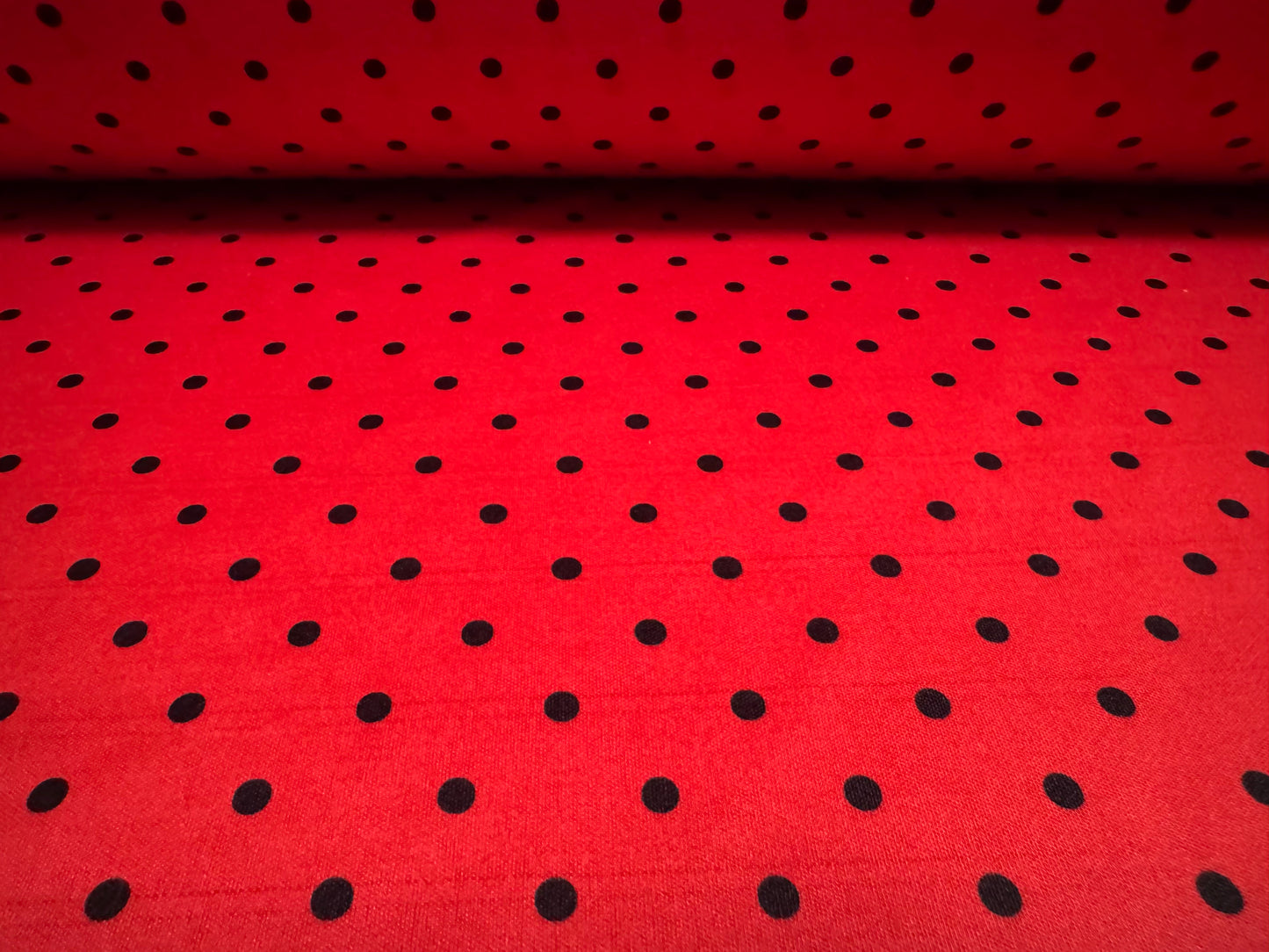 Single jersey fashion fabric, per metre - ladybug spot print - red & black