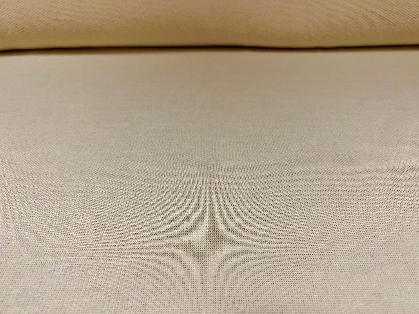 Loopback sweatshirt jersey fabric, per metre - Plain - cream